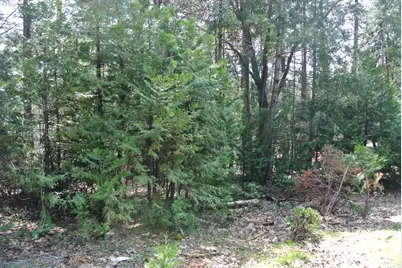 5117 Cold Springs Drive, Foresthill, CA 95631 - Photo 11