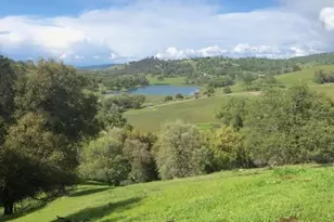 11195 Vintage Rd, Ione, CA 95640 - Photo 7