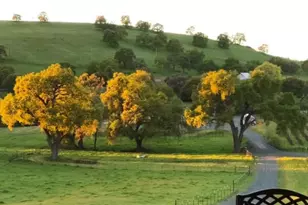 11195 Vintage Rd, Ione, CA 95640 - Photo 5