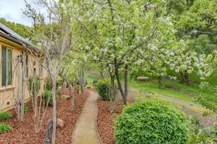 11195 Vintage Rd, Ione, CA 95640 - Photo 59