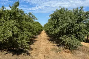 4261 Clausen Rd, Le Grand, CA 95333 - Photo 1