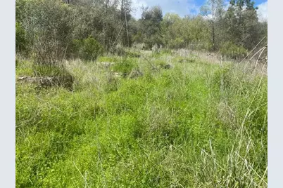 17214 Scopar Road, Grass Valley, CA 95949 - Photo 7