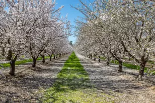 4549 McGee Ave, Modesto, CA 95357 - Photo 53