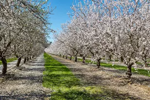 4549 McGee Ave, Modesto, CA 95357 - Photo 45