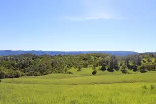 20475 County Road 57, Guinda, CA 95637 - Photo 9