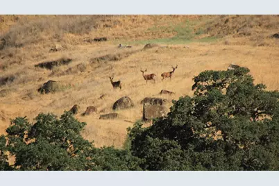 20475 County Road 57, Guinda, CA 95637 - Photo 3