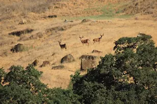 20475 County Road 57, Guinda, CA 95637 - Photo 3