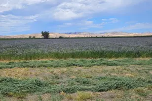 26749 Cottonwood Rd, Gustine, CA 95322 - Photo 1