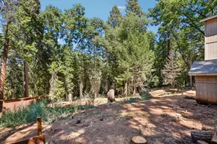 2737 Birch Ave, Camino, CA 95709 - Photo 37