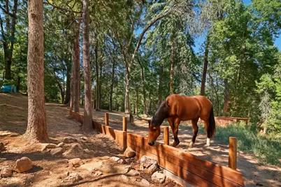 2737 Birch Avenue, Camino, CA 95709 - Photo 39