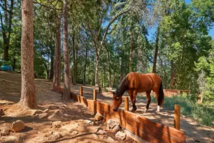 2737 Birch Ave, Camino, CA 95709 - Photo 39