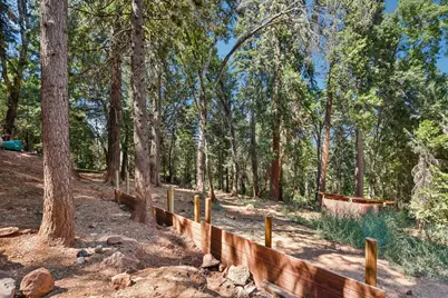2737 Birch Avenue, Camino, CA 95709 - Photo 39