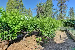 11625 Tyler Foote Rd, Nevada City, CA 95959 - Photo 89