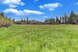 11625 Tyler Foote Rd, Nevada City, CA 95959 - Photo 63