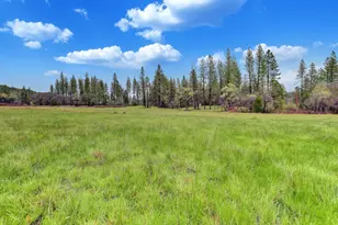 11625 Tyler Foote Rd, Nevada City, CA 95959 - Photo 61