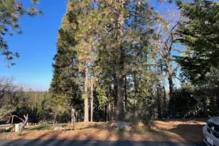 1238 Canyon Ridge Ct, Murphys, CA 95247 - Photo 1