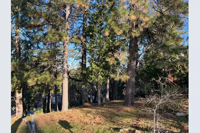 1238 Canyon Ridge Court, Murphys, CA 95247 - Photo 5