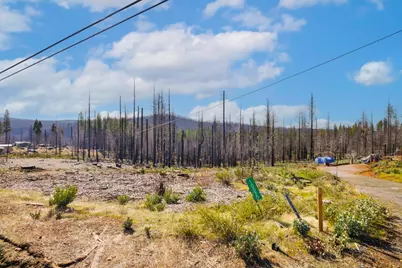 10020 Grizzly Flat Road, Grizzly Flats, CA 95636 - Photo 3