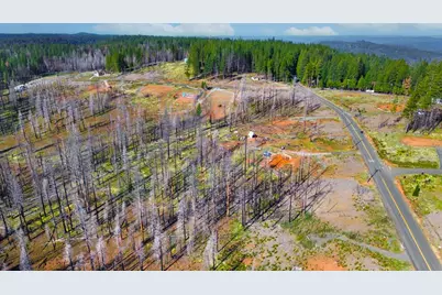 10020 Grizzly Flat Road, Grizzly Flats, CA 95636 - Photo 17