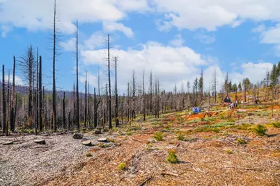 10020 Grizzly Flat Road, Grizzly Flats, CA 95636 - Photo 9