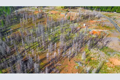 10020 Grizzly Flat Road, Grizzly Flats, CA 95636 - Photo 15