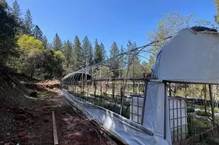 74 Bandit Ln, Oroville, CA 95966 - Photo 15