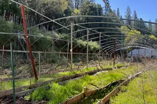 74 Bandit Ln, Oroville, CA 95966 - Photo 13