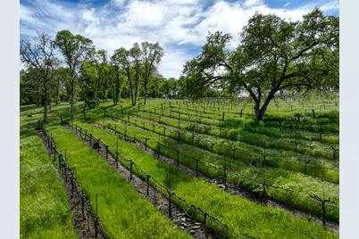 2020 Kaila Way, El Dorado Hills, CA 95762 - Photo 85