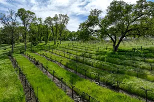 2020 Kaila Way, El Dorado Hills, CA 95762 - Photo 85