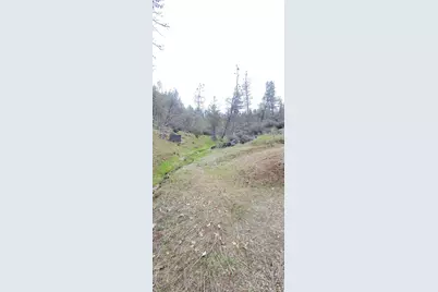 2450 White Rock Road, Platina, CA 96076 - Photo 23