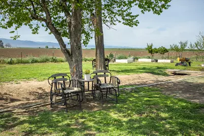 5621 Hankins Road, Williams, CA 95987 - Photo 37