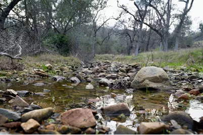 0 Guadalupe Creek Road, Mariposa, CA 95338 - Photo 1