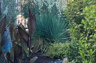 6589 Primavera Ln, El Dorado Hills, CA 95762 - Photo 45