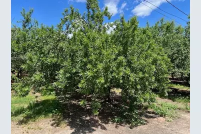 2901 Youngstown Road, Turlock, CA 95380 - Photo 7