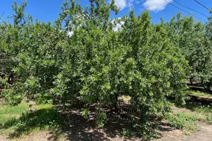 2901 Youngstown Rd, Turlock, CA 95380 - Photo 7