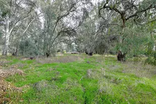 3421 County Rd 88C, Dunnigan, CA 95937 - Photo 19