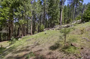 26601 High Trees Dr, Pioneer, CA 95666 - Photo 55