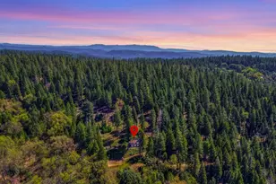 26601 High Trees Dr, Pioneer, CA 95666 - Photo 5