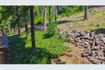 26601 High Trees Drive, Pioneer, CA 95666 - Photo 77