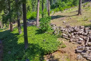 26601 High Trees Dr, Pioneer, CA 95666 - Photo 77