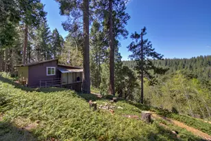 26601 High Trees Dr, Pioneer, CA 95666 - Photo 15