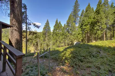 26601 High Trees Drive, Pioneer, CA 95666 - Photo 53