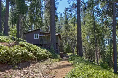 26601 High Trees Drive, Pioneer, CA 95666 - Photo 59