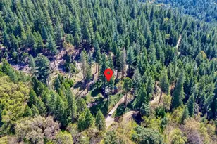 26601 High Trees Dr, Pioneer, CA 95666 - Photo 83