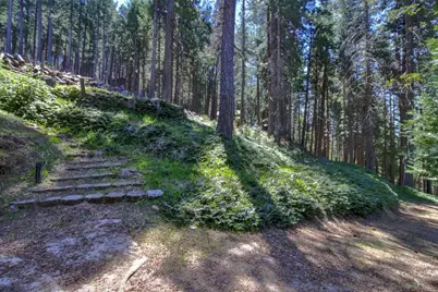 26601 High Trees Drive, Pioneer, CA 95666 - Photo 61