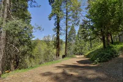 26601 High Trees Drive, Pioneer, CA 95666 - Photo 63