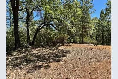 16681 Winchester Club Drive, Meadow Vista, CA 95722 - Photo 9