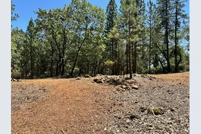16681 Winchester Club Drive, Meadow Vista, CA 95722 - Photo 11
