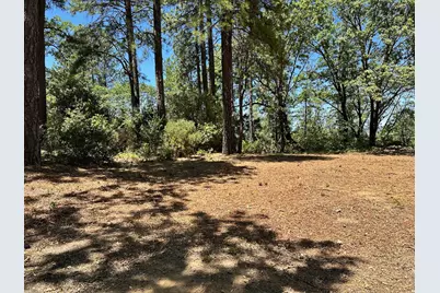 16681 Winchester Club Drive, Meadow Vista, CA 95722 - Photo 19