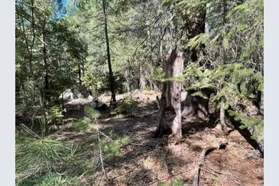12664 Last Chance Mine Road, Nevada City, CA 95959 - Photo 5